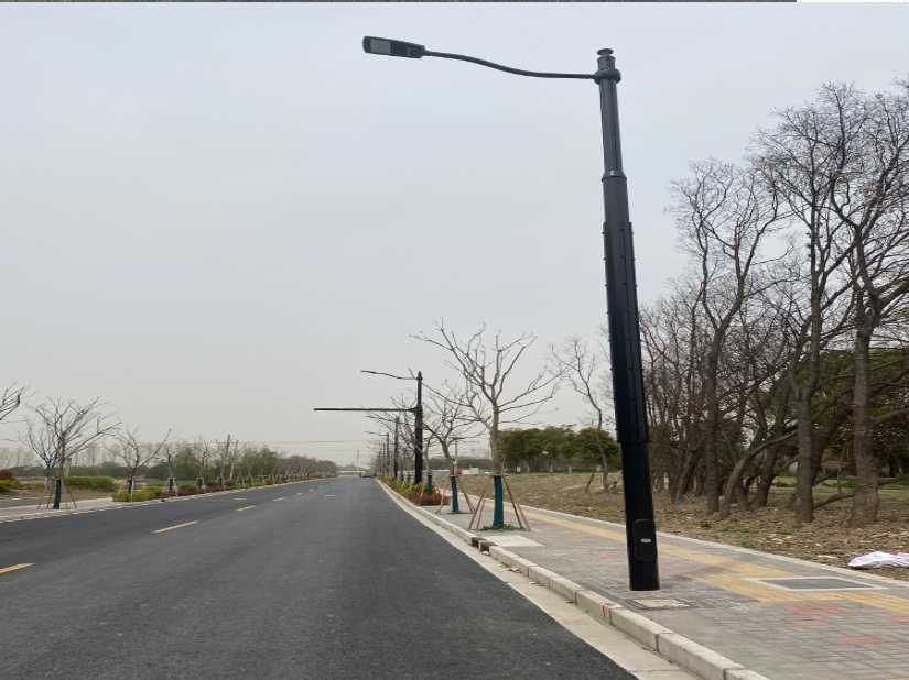 安阳县上海综合杆 太阳能路灯工程